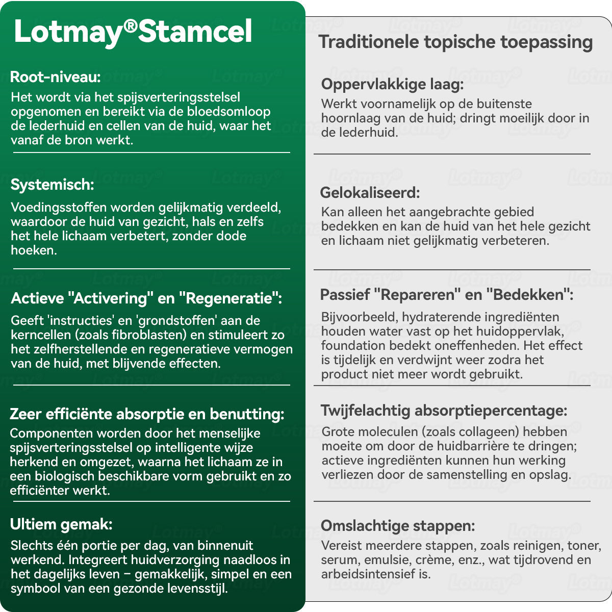 (Officieel gecertificeerde winkel) Lotmay® Stamcel‑Collageenpeptide Orale Druppels 💕 (Verstevigt en lift verslapte huid · Vermindert zichtbaar rimpels)